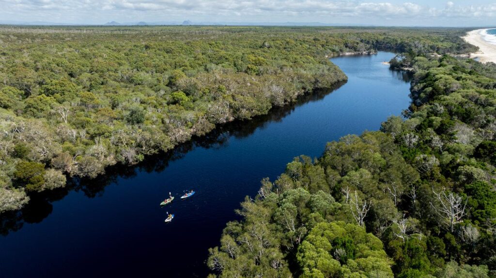 Aerial view of a winding river surrounded by dense forest, with several kayakers paddling on the water; coastline visible in the distance.