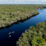 Aerial view of a winding river surrounded by dense forest, with several kayakers paddling on the water; coastline visible in the distance.