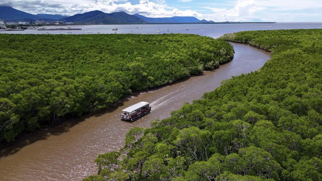 A boat travels along a brown river winding through dense green mangroves, with mountains and a partly cloudy sky in the background.