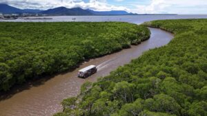 A boat travels along a brown river winding through dense green mangroves, with mountains and a partly cloudy sky in the background.