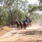 A horse-drawn carriage with several people rides along a dusty dirt road surrounded by trees and dry grass.