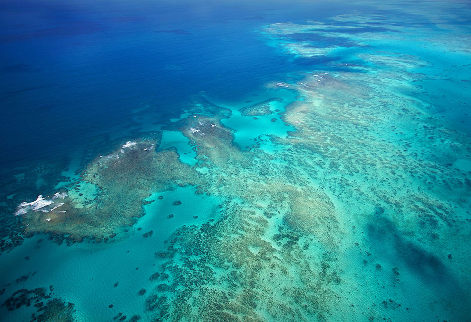 Aerial view of a coral reef in clear turquoise ocean water, showing shallow and deep areas with visible patches of coral formations.
