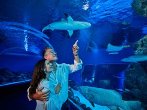 A couple stands together in an aquarium tunnel, looking up and pointing at a shark swimming overhead with other fish visible in the blue-lit water.