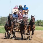 A horse-drawn wagon carrying several people travels on a dirt road surrounded by greenery under a clear sky.