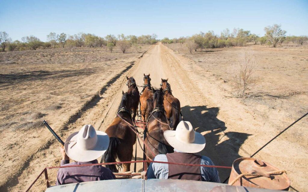 Two people in wide-brimmed hats drive a horse-drawn carriage down a dirt road through a dry, open landscape with sparse trees.