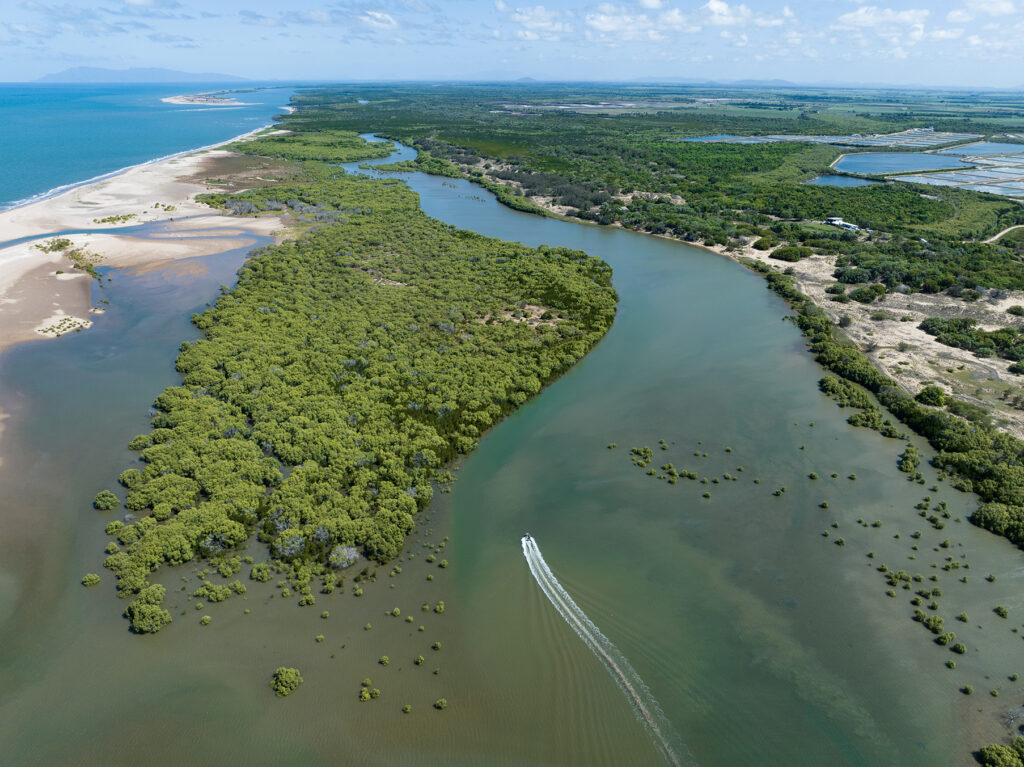Aerial view of a river winding through green mangroves toward the sea, with a motorboat creating a white wake in the water.