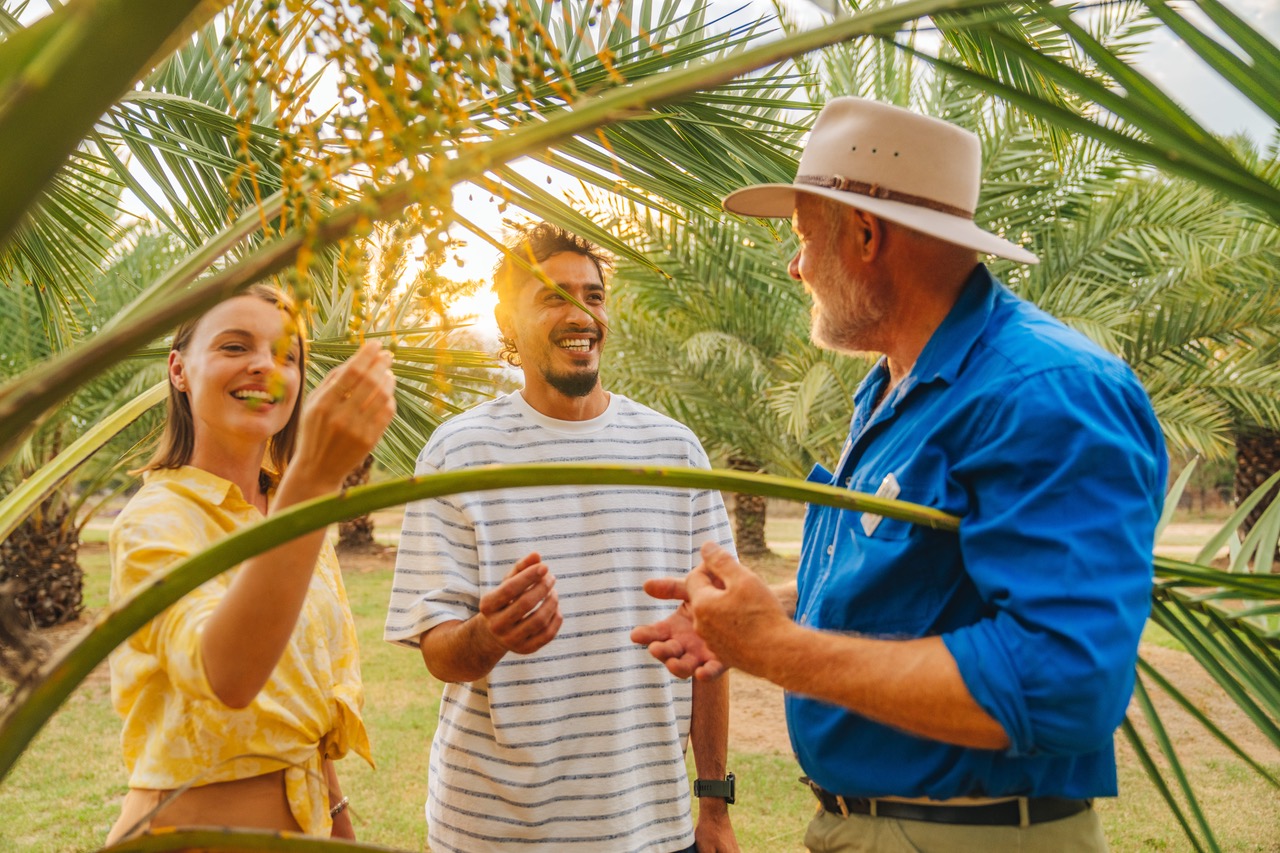 Three people stand among palm trees, examining dates and talking. One man wears a hat and blue shirt, while a woman and another man smile and interact with the fruit.