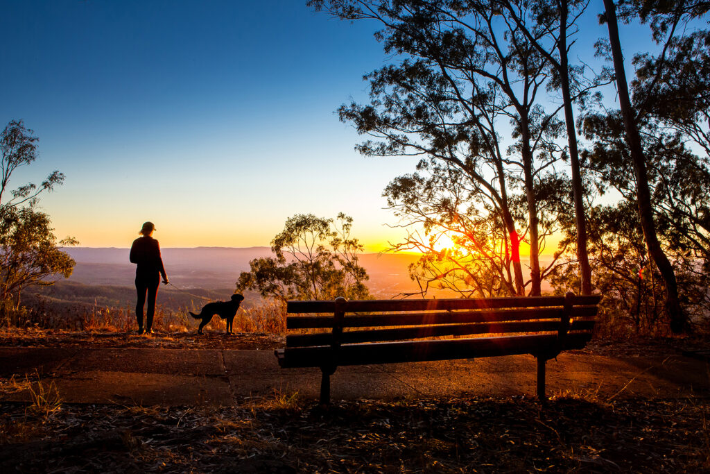 A person stands with a dog near the edge of a lookout at sunset, with a wooden bench and silhouetted trees in the foreground.