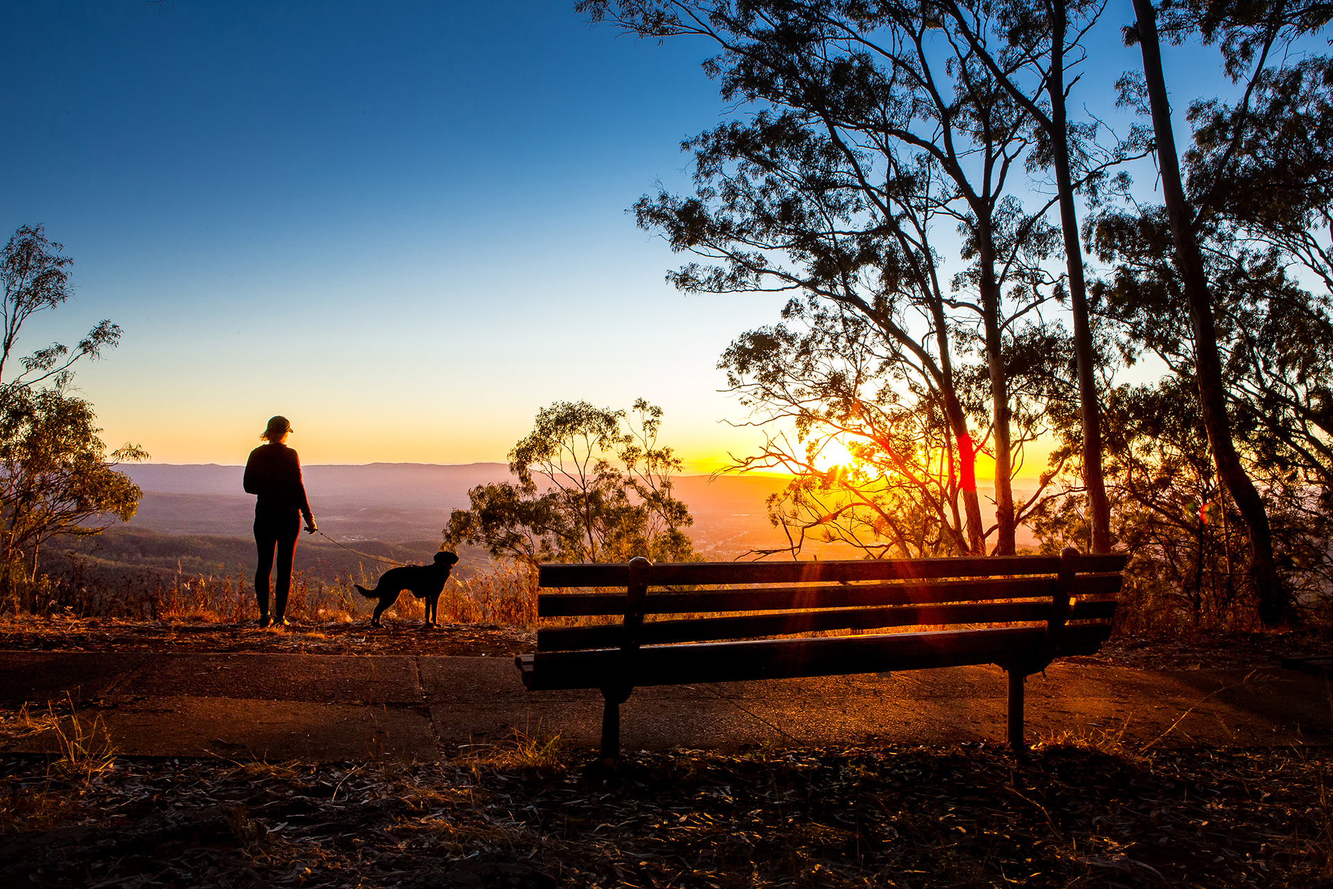 A person stands with a dog near the edge of a lookout at sunset, with a wooden bench and silhouetted trees in the foreground.