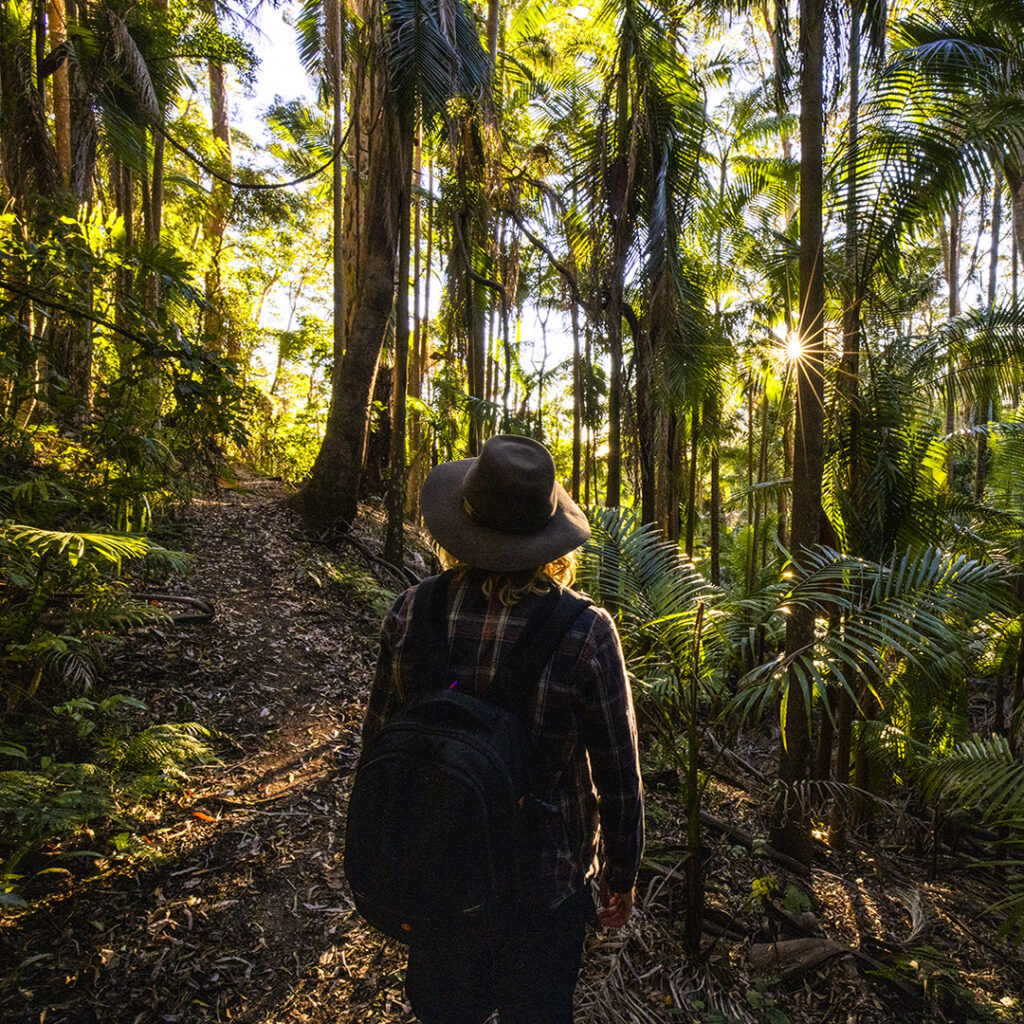 A person with a backpack and wide-brimmed hat walks along a forest trail surrounded by tall trees and sunlight filtering through the leaves.