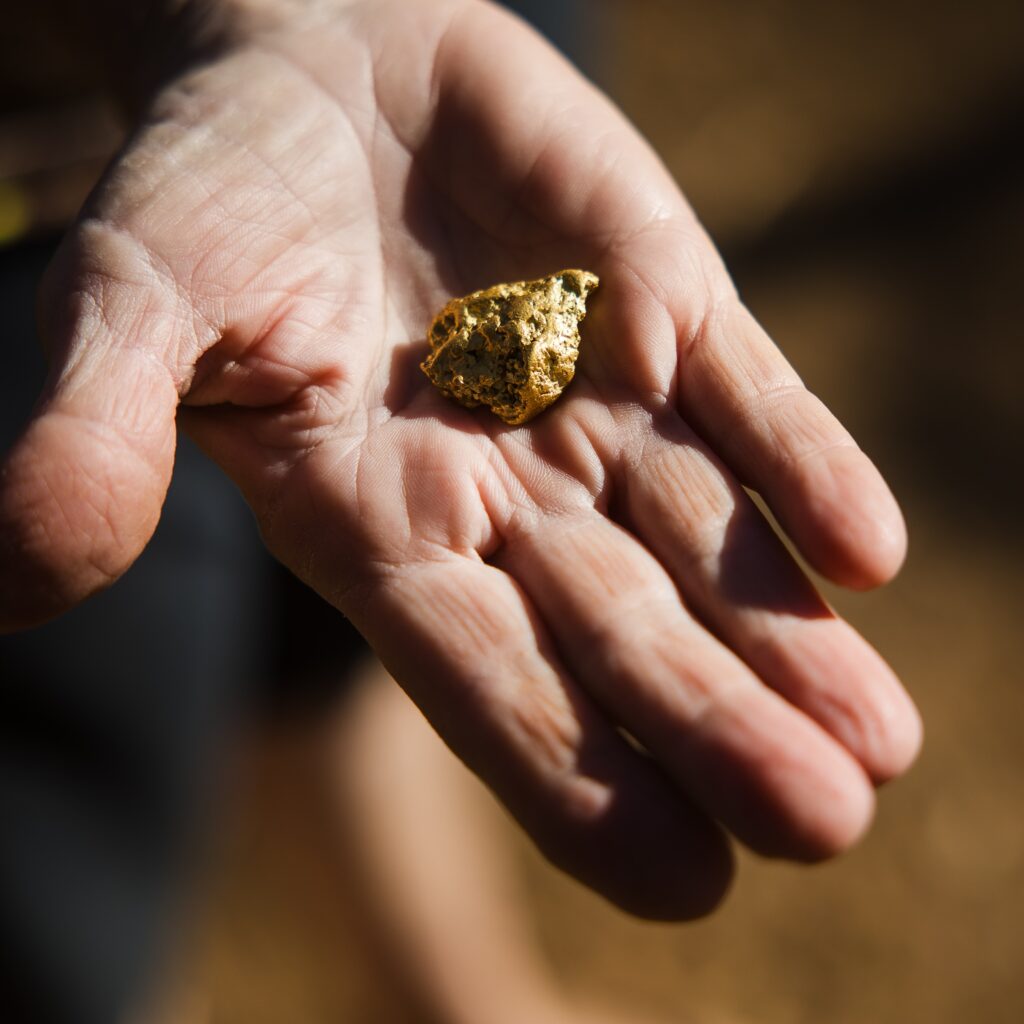 A close-up of a person's open hand holding a small, rough gold nugget.