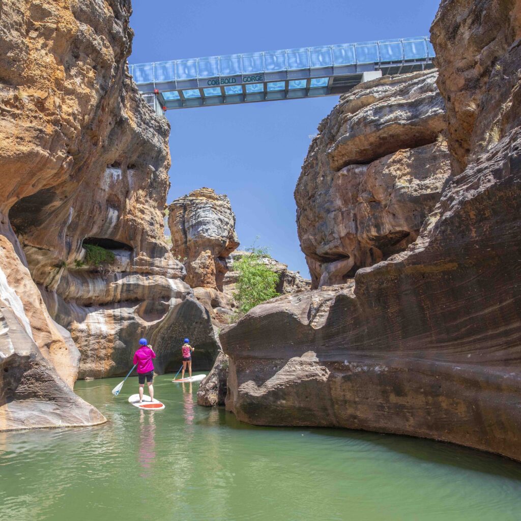 Two people paddleboard through a rocky canyon with a clear sky above and a glass-bottom bridge spanning the gorge overhead.